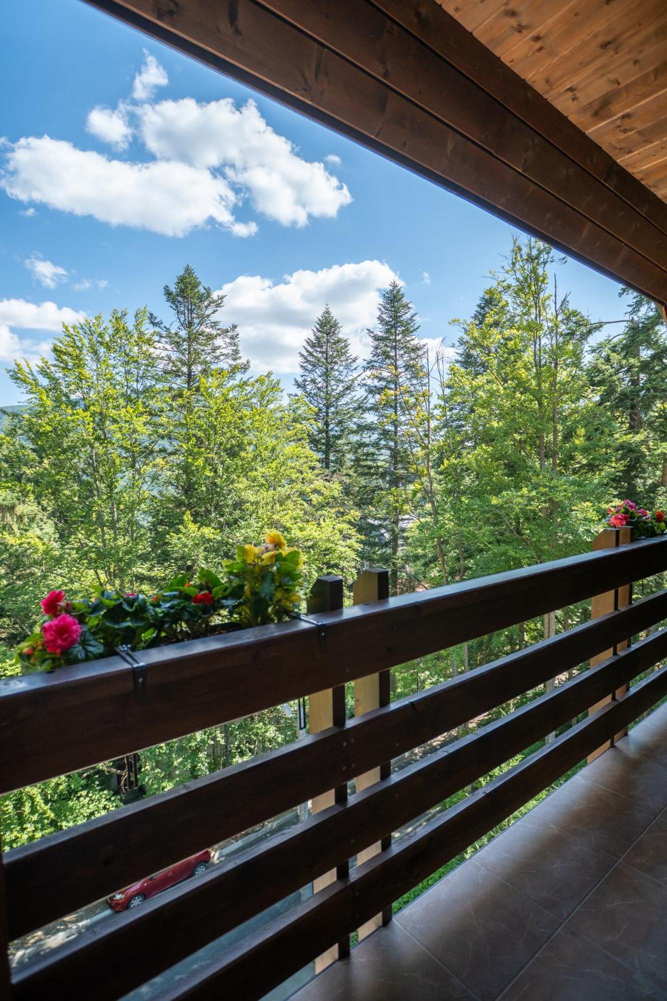 فيلا أوبوس سِنايا المظهر الخارجي الصورة A balcony in the Alps