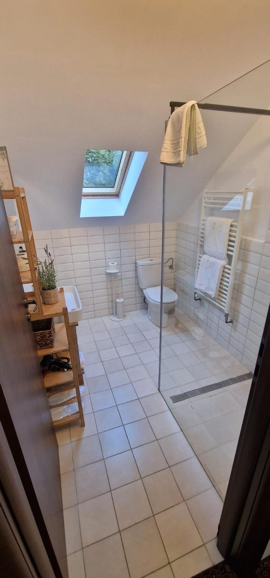 فيلا أوبوس سِنايا المظهر الخارجي الصورة Bathroom with shower