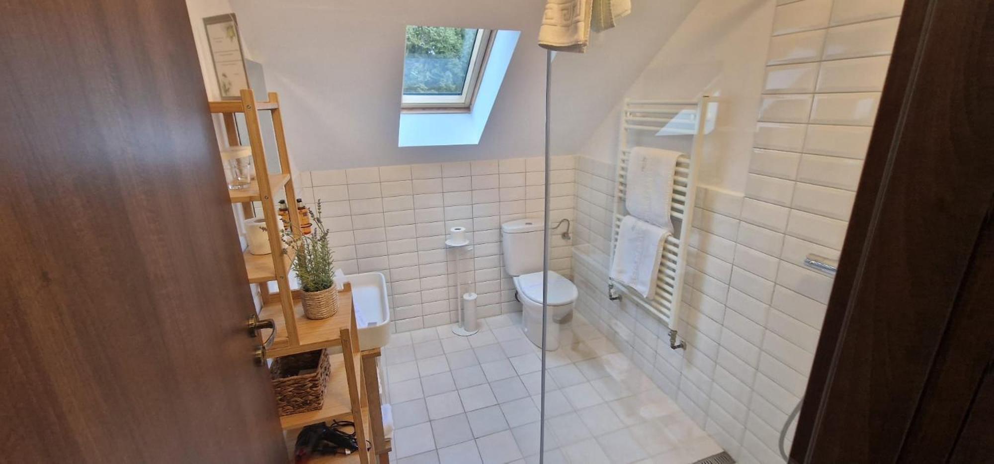 فيلا أوبوس سِنايا المظهر الخارجي الصورة Bathroom with a shower